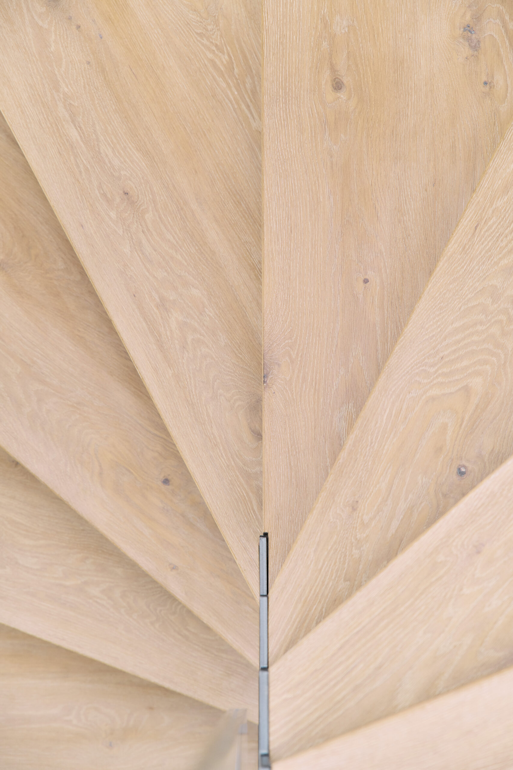 241128_Iterbau_Bonelli_0102